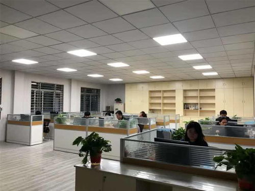 揚州玉器廠迎戰雙十一 電商中心啟用，民辦培訓機構助陣